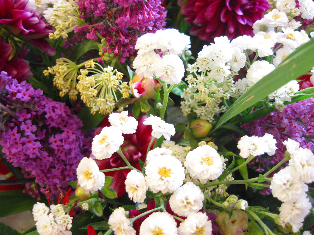 usa florists: June 2010