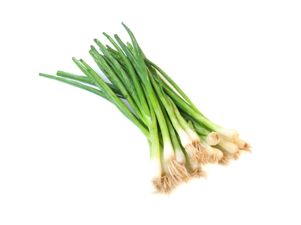 spring onion clipart - photo #38