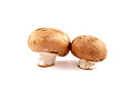crimini mushrooms