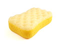 sponge