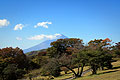 fuji mountain