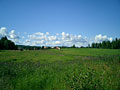 field