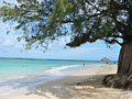 beach oahu