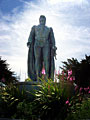 coit tower