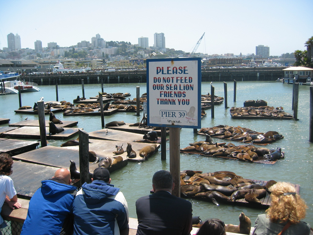 pier 31 san francisco coordinates