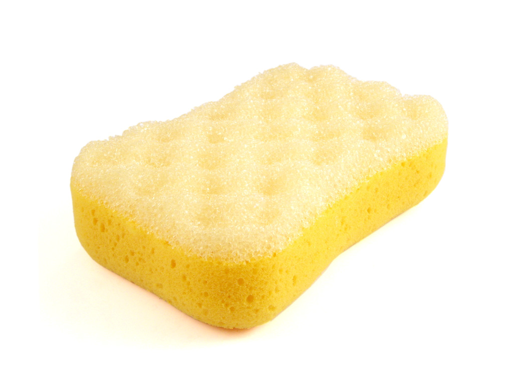 Sponge s