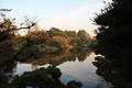 shinjuku imperial gardens