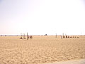 santa monica beach