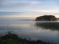 foggy lake