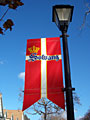 solvang flag